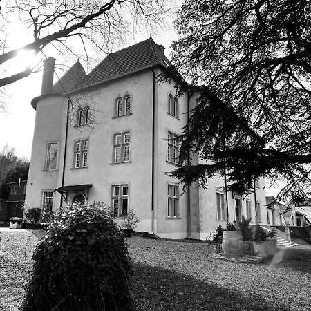 Bed&Breakfast Le Château de Morey Belleau Extérieur photo